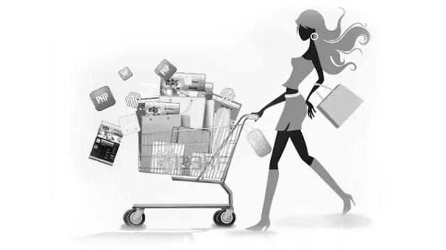 Shopsystem Lösungen